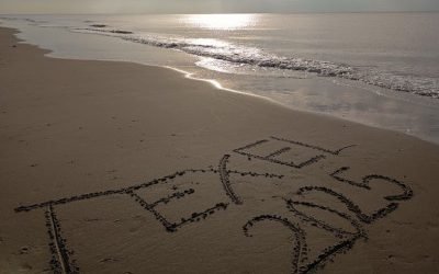 Unbeschwerte Tage auf Texel