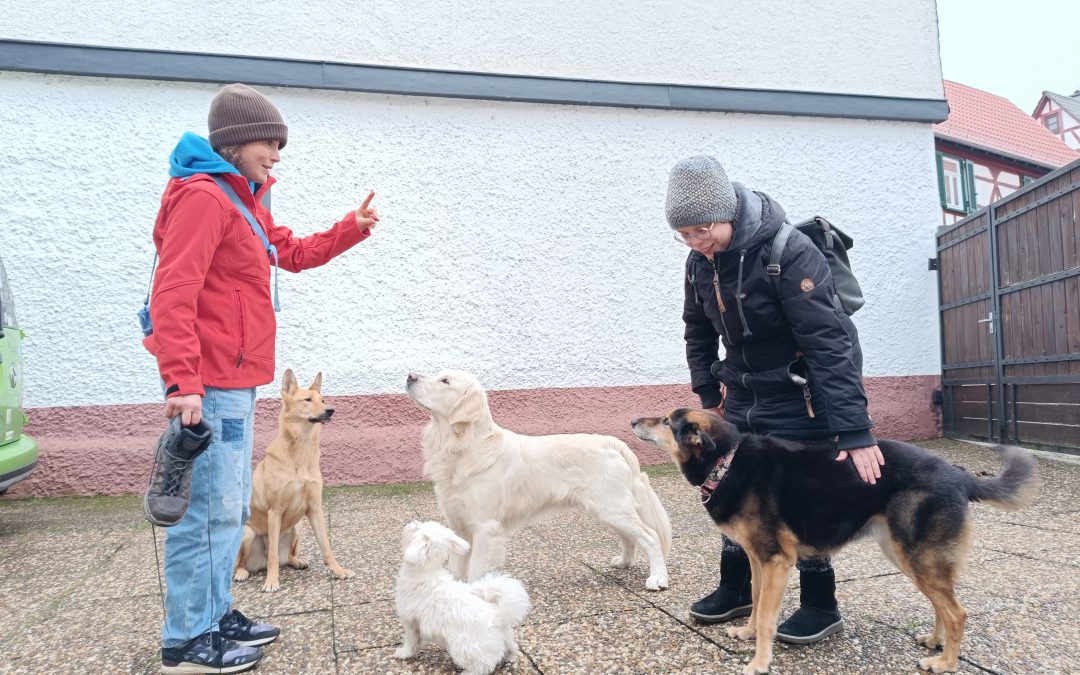 Ein Tag für „Schokoholics“ in der Lebenshilfe