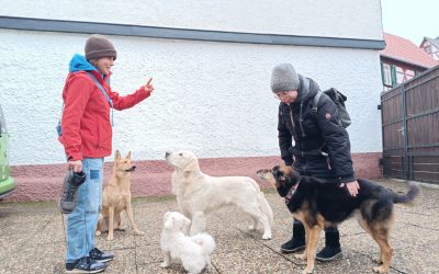 Ein Tag für „Schokoholics“ in der Lebenshilfe