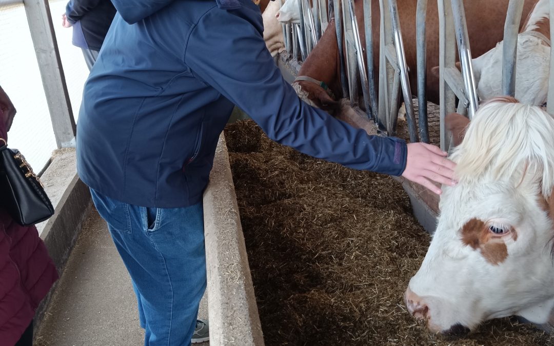 Ein erlebnisreicher Nachmittag auf dem Bauernhof