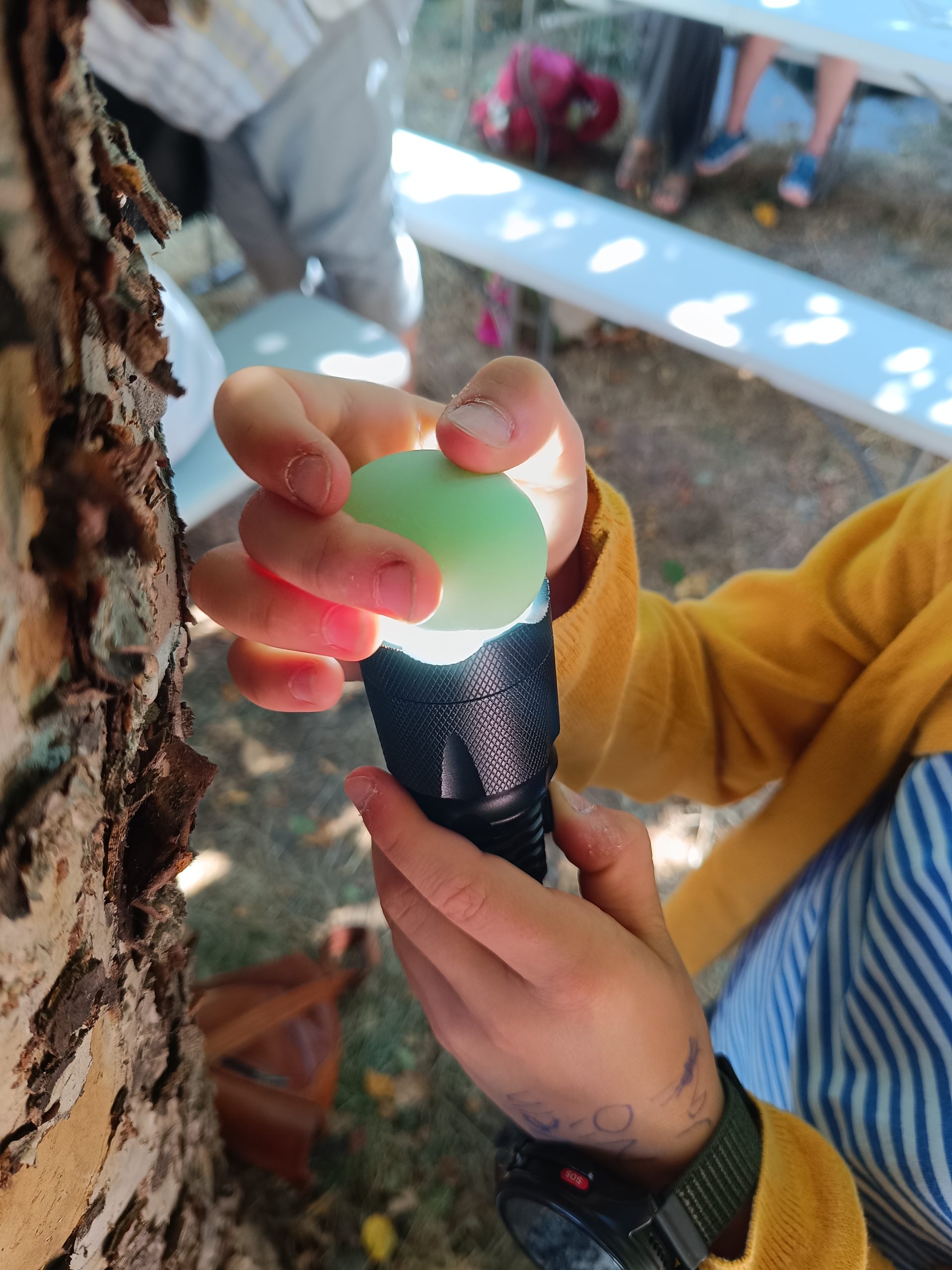„Endlich Ferien – raus in die Natur!“ Unter diesem Motto startete die erste Ferienwoche der Offenen Hilfen der Lebenshilfe Main-Spessart. Für 16 Kinder aus dem Landkreis Main-Spessart begann damit eine besondere Woche voller Begegnungen, Bewegung, Abenteuer und ganz viel Spaß.